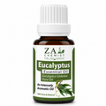 Eucalyptus Essential Oil – 100% Pure & Natural